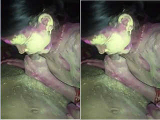 Desi Couple Holi Romance and Fucking Part 2